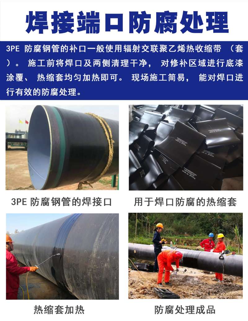 tpep�����o�p䓹�